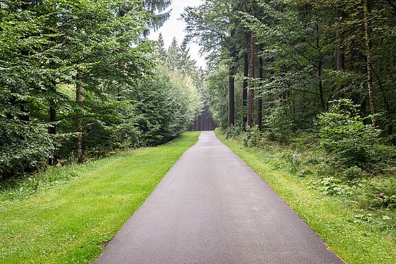 unsere_Rollerstrecke_3.jpg 