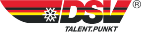 dsvtalentpunktlogo.png 